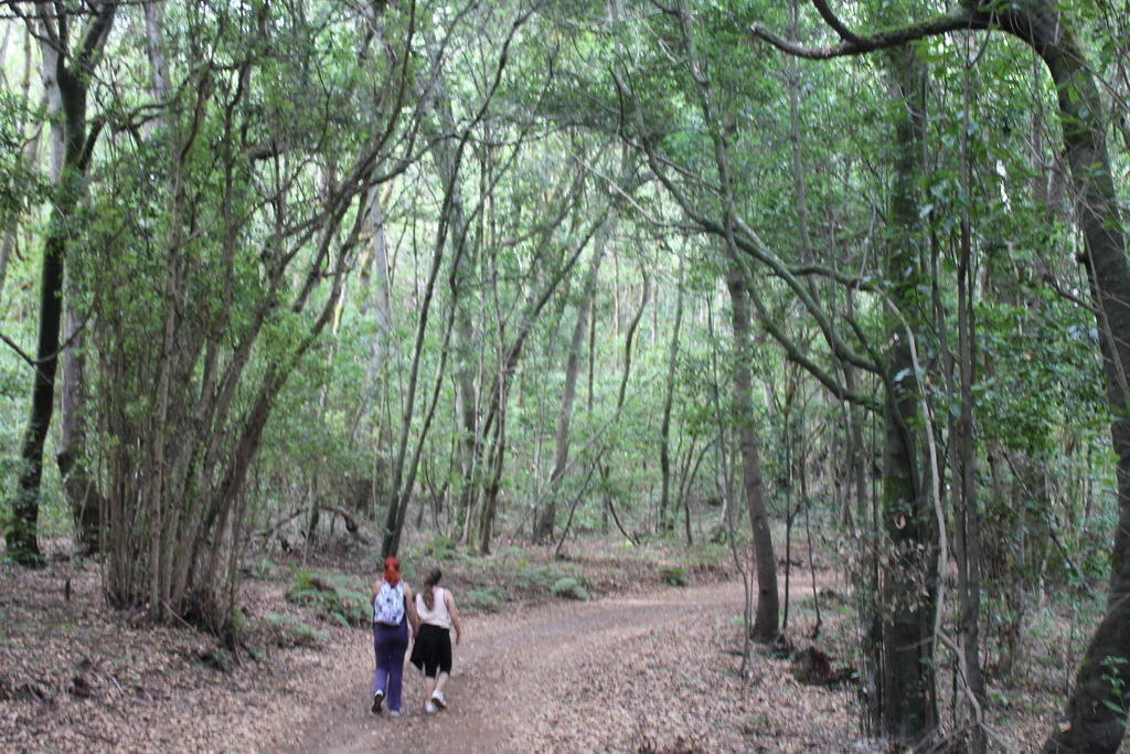 Casa Rural El Rincon De Antonia Agulo ภายนอก รูปภาพ