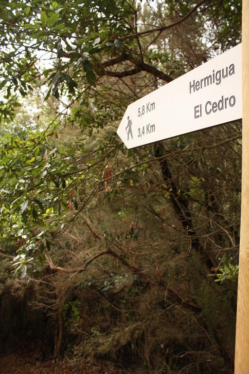 Casa Rural El Rincon De Antonia Agulo ภายนอก รูปภาพ