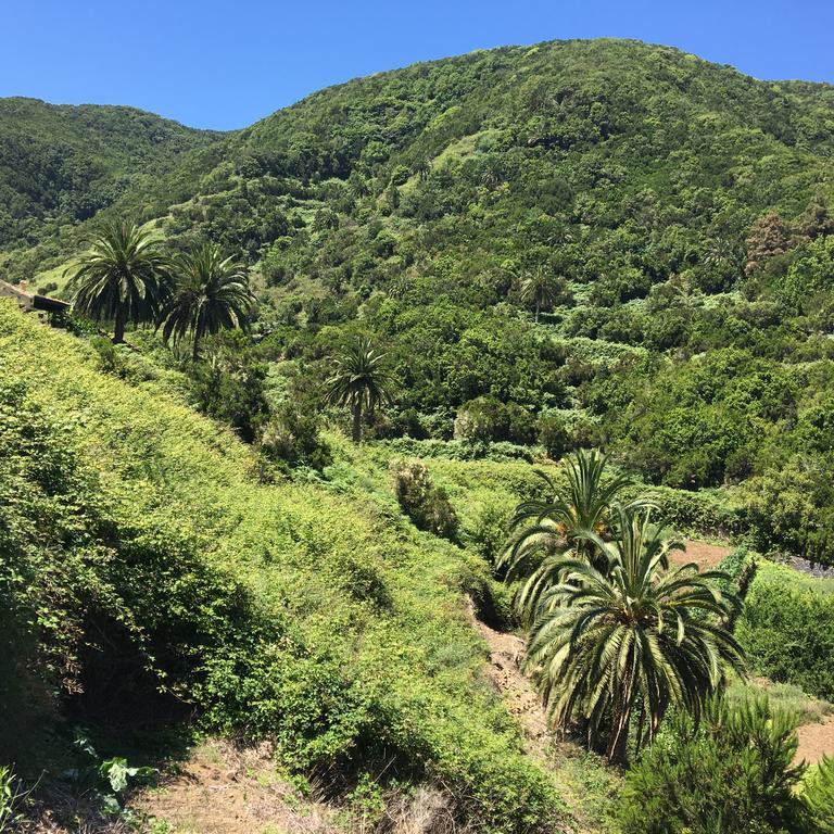 Casa Rural El Rincon De Antonia Agulo ภายนอก รูปภาพ