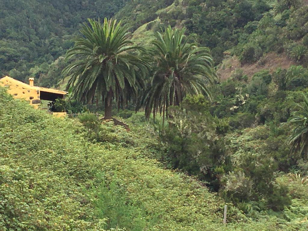 Casa Rural El Rincon De Antonia Agulo ภายนอก รูปภาพ