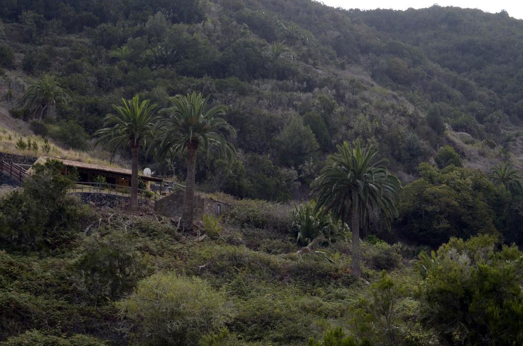 Casa Rural El Rincon De Antonia Agulo ภายนอก รูปภาพ